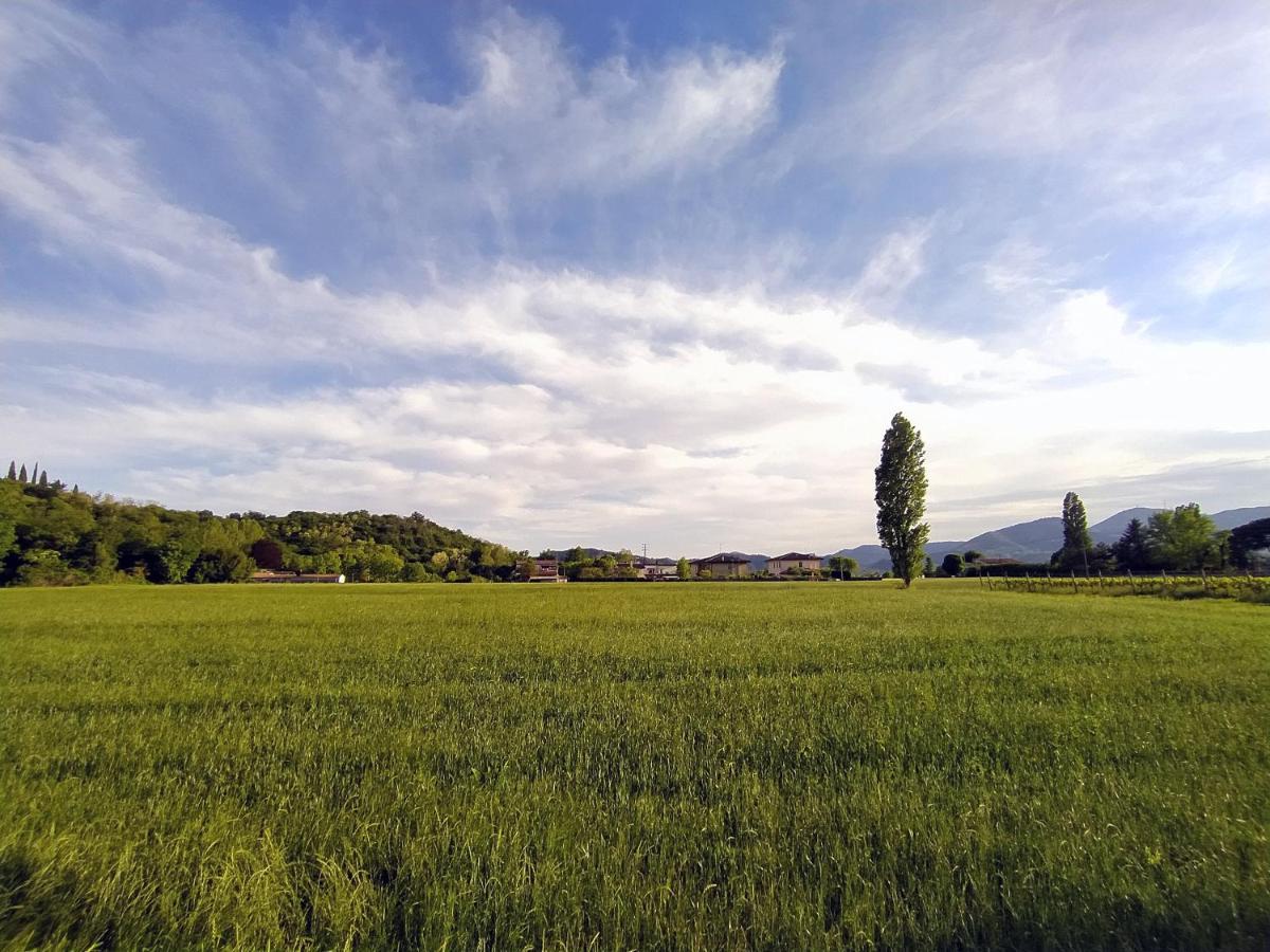 Apartmán Ca' Emma Teolo Exteriér fotografie